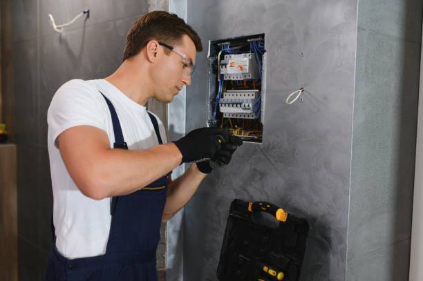 Best Electric Panel Repair  in Port Orange, FL